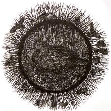 The bobwhite quails are shy  secretive birds and rely on camouflage to stay undetected but will flush into low flight if disturbed at close range. They need an environment of native grasses and wildflowers  which attract many insects  for example pollinators like bees and butterflies.