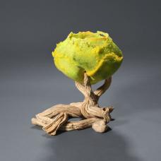 Hand-carved ceramic fired in oxidation with stains and oxides to 2124° F. Cast pate de verre (glass).